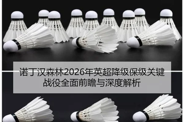 诺丁汉森林2026年英超降级保级关键战役全面前瞻与深度解析 | AYX